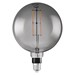 LED-lamp SMART+ WiFi Filament Globe Dimmable LEDVANCE SMART+ WiFi Filament Globe Dimmable 42 6W 825 230V FIL SM E27 4058075609877